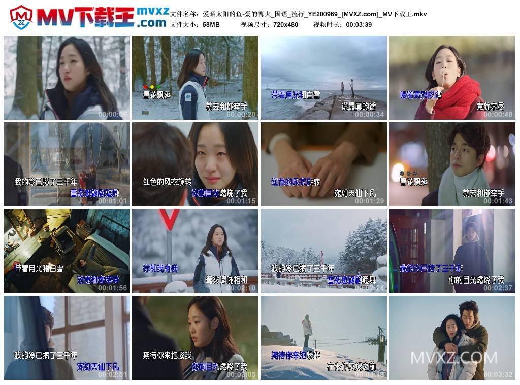 爱晒太阳的鱼-爱的篝火_国语_流行_YE200969